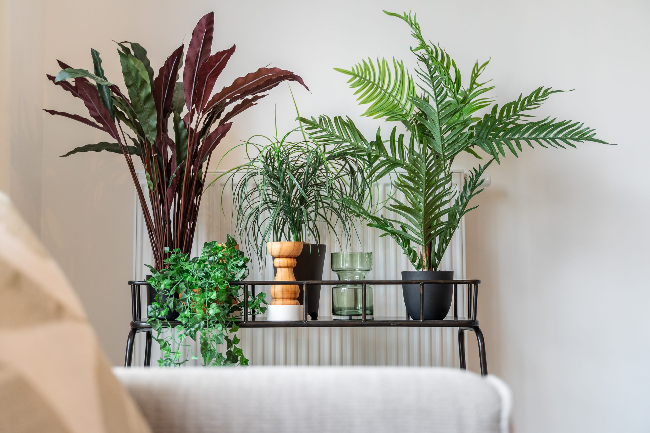 musterhaus-einrichten-berlin-kunstpflanzen